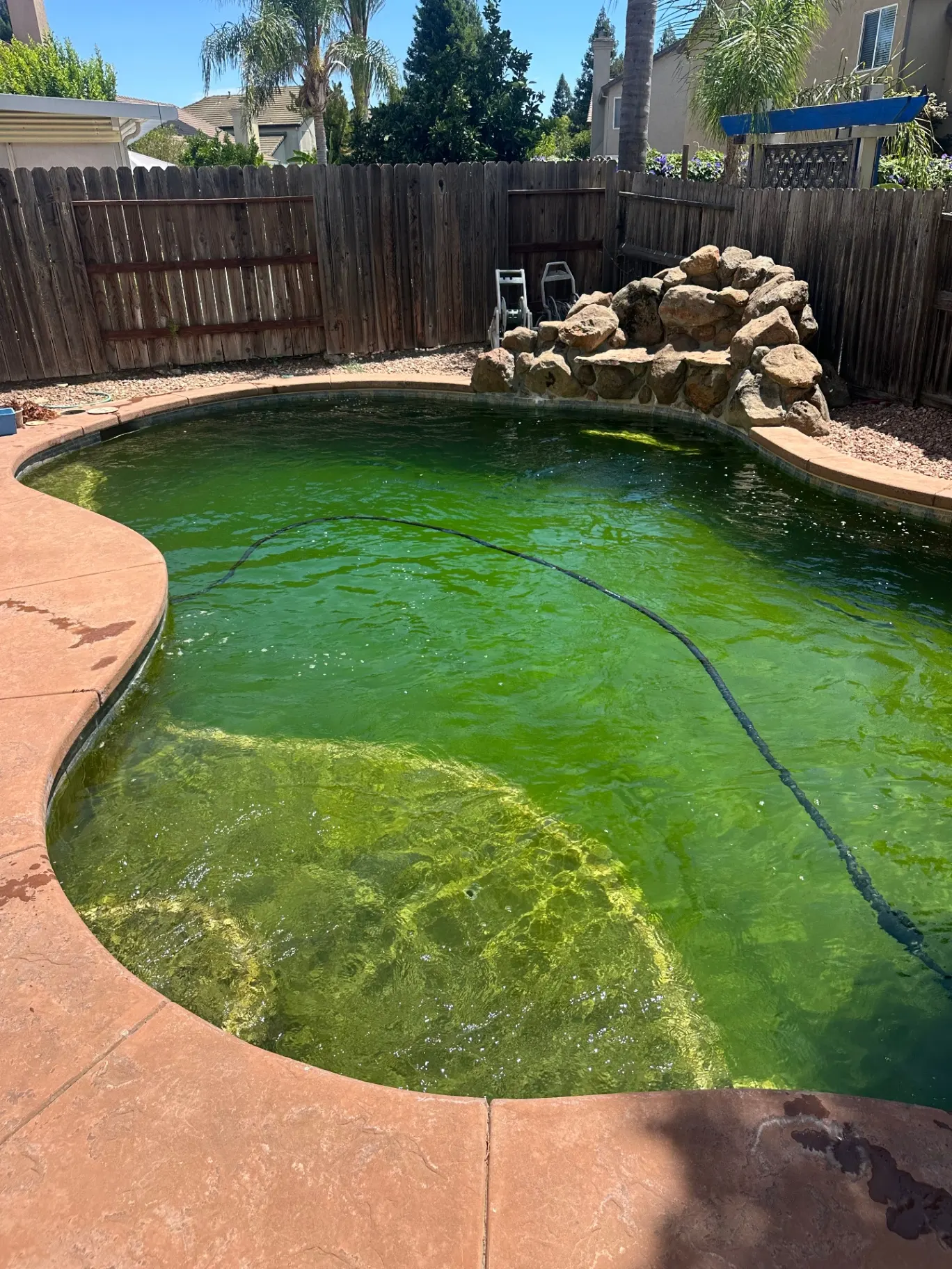 Before pool service