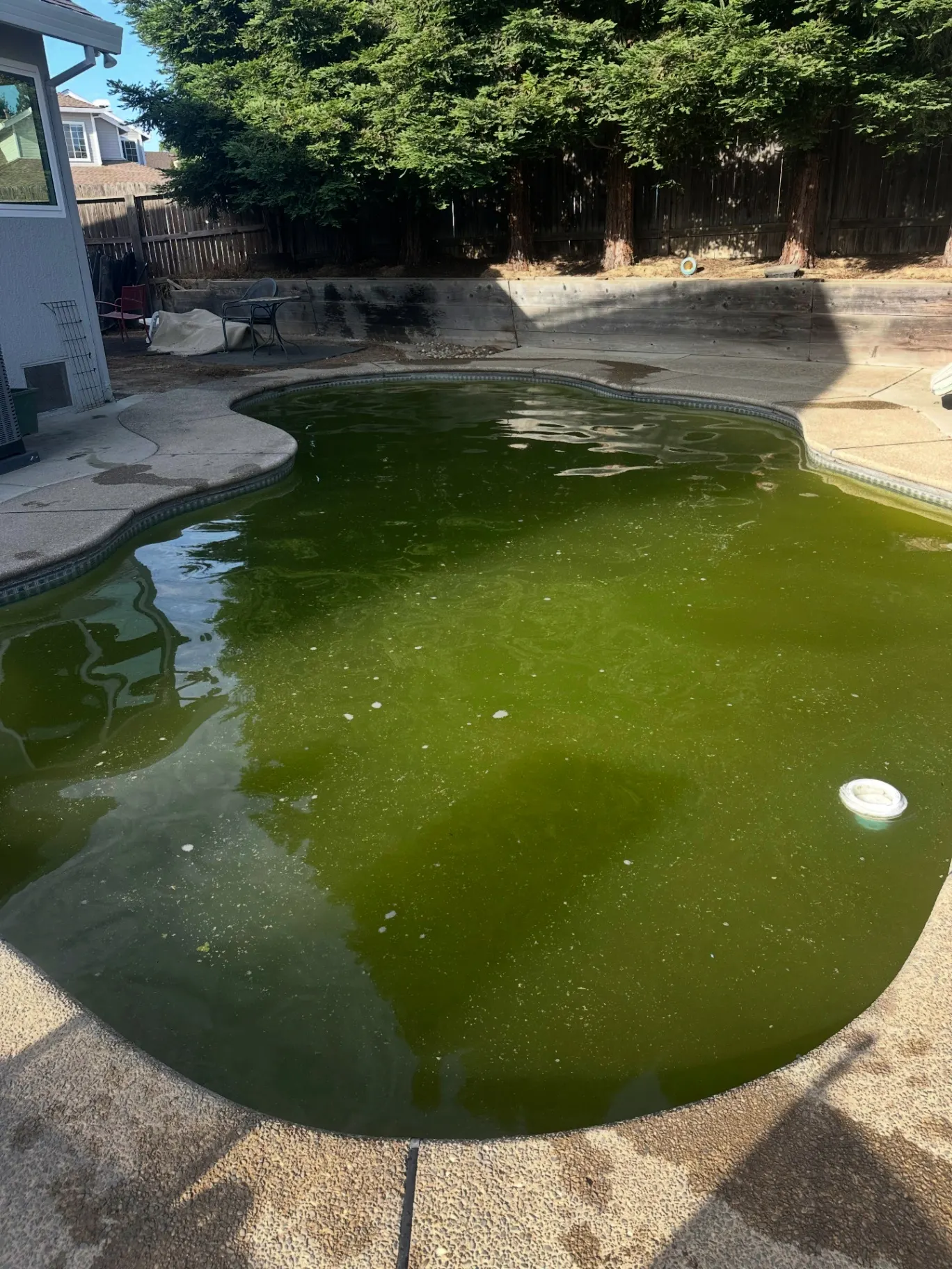 Before pool service