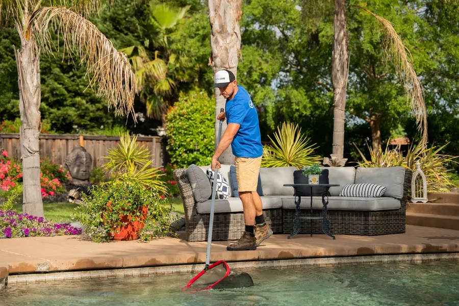Net & Brush the Pool
